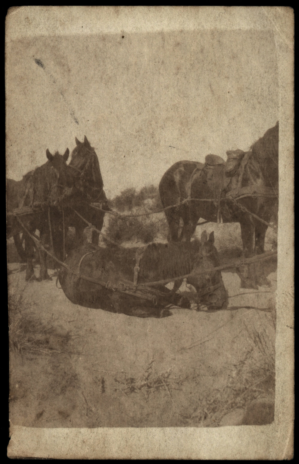 WWI Photograph Album- Egypt &amp; Palestine [loose photo]