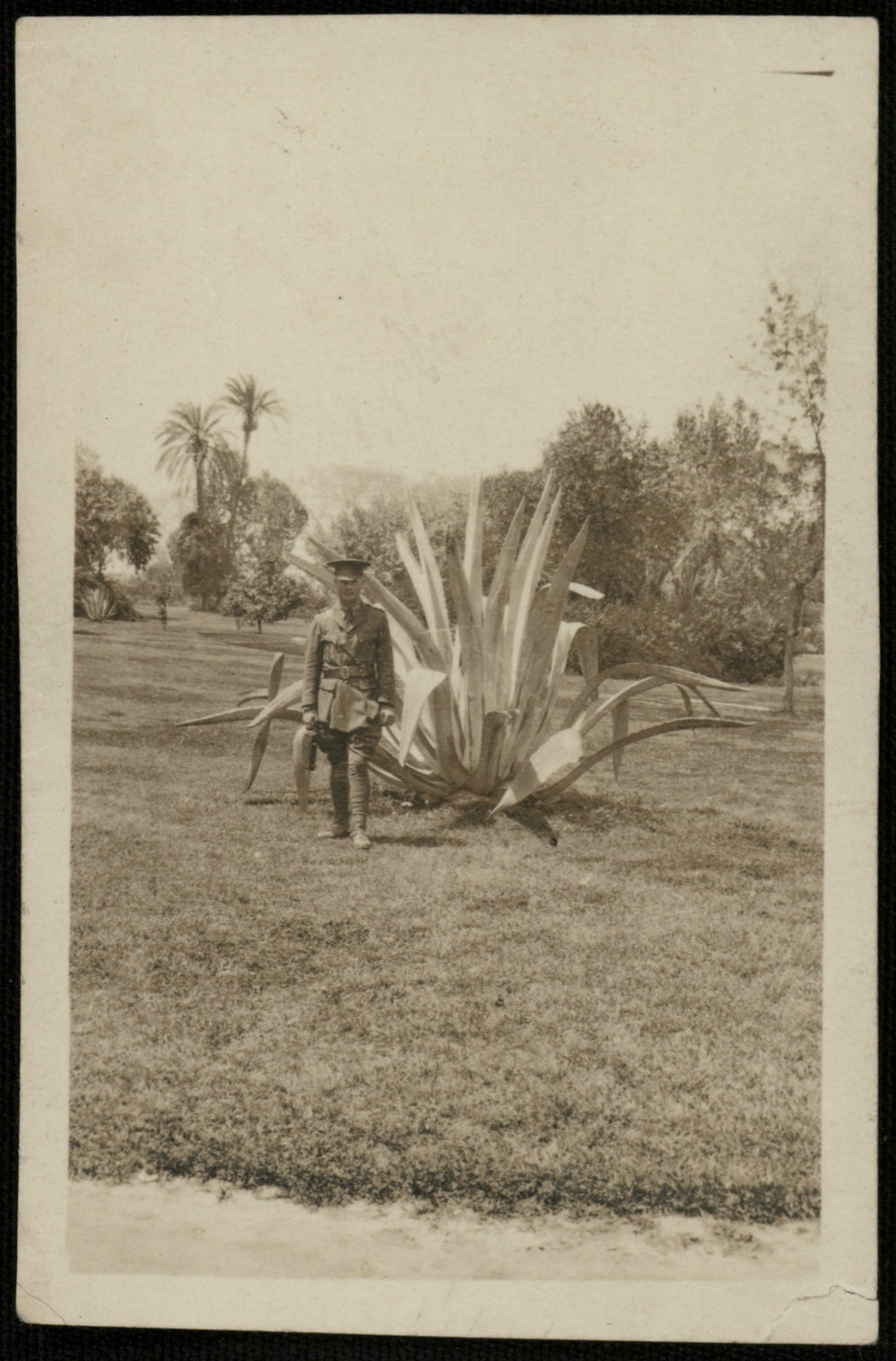 WWI Photograph Album- Middle East [loose photo]