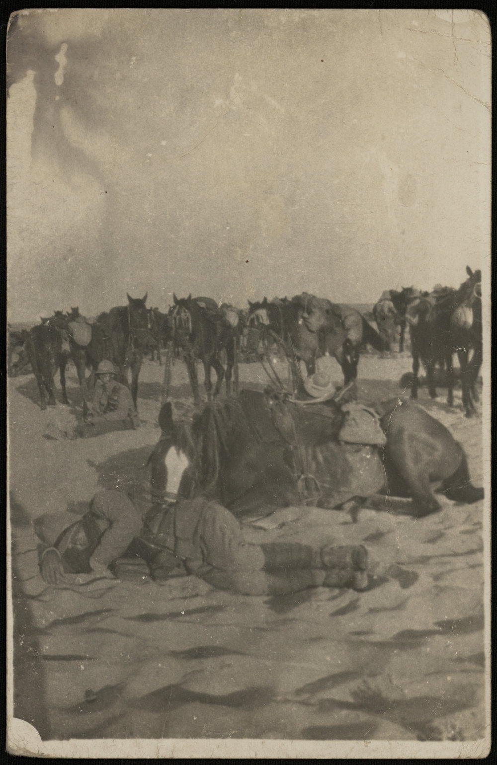 WWI Photograph Album- Middle East [loose photo]