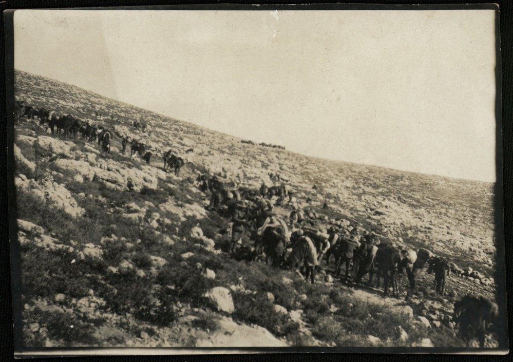 WWI Photograph Album- Middle East [loose photo]