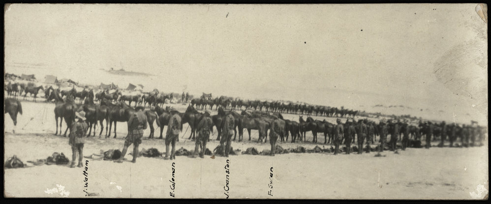 WWI Photograph Album- Sinai, Palestine and England [loose photo]