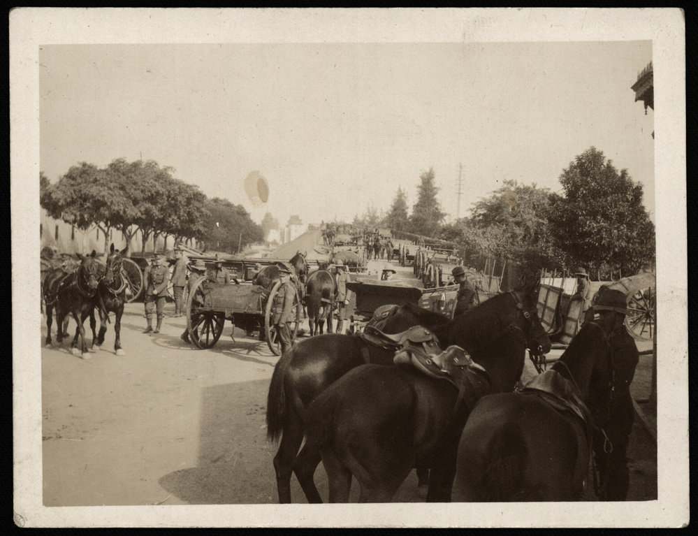WWI Photograph Album- Gallipoli, Sinai &amp; Palestine [loose photo]