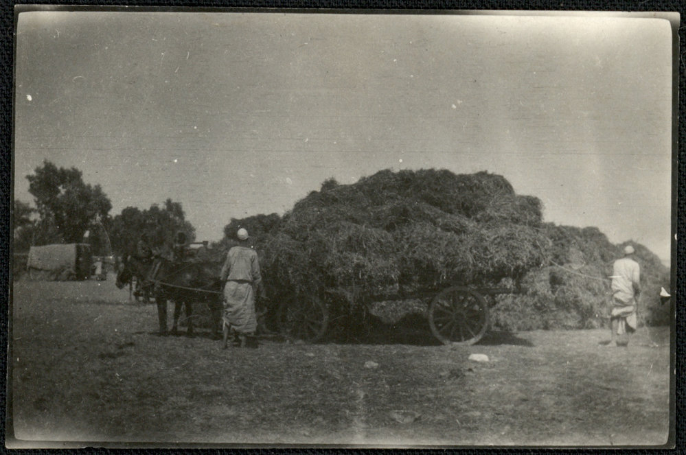 WWI Photograph Album- France, Belgium and England [loose photo]