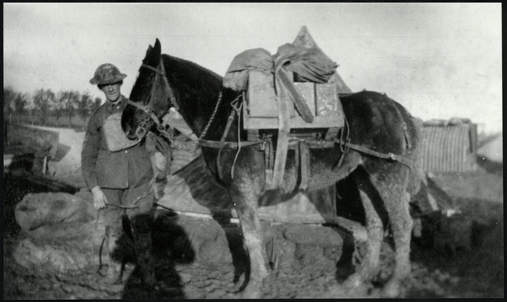 WWI Photograph Album 