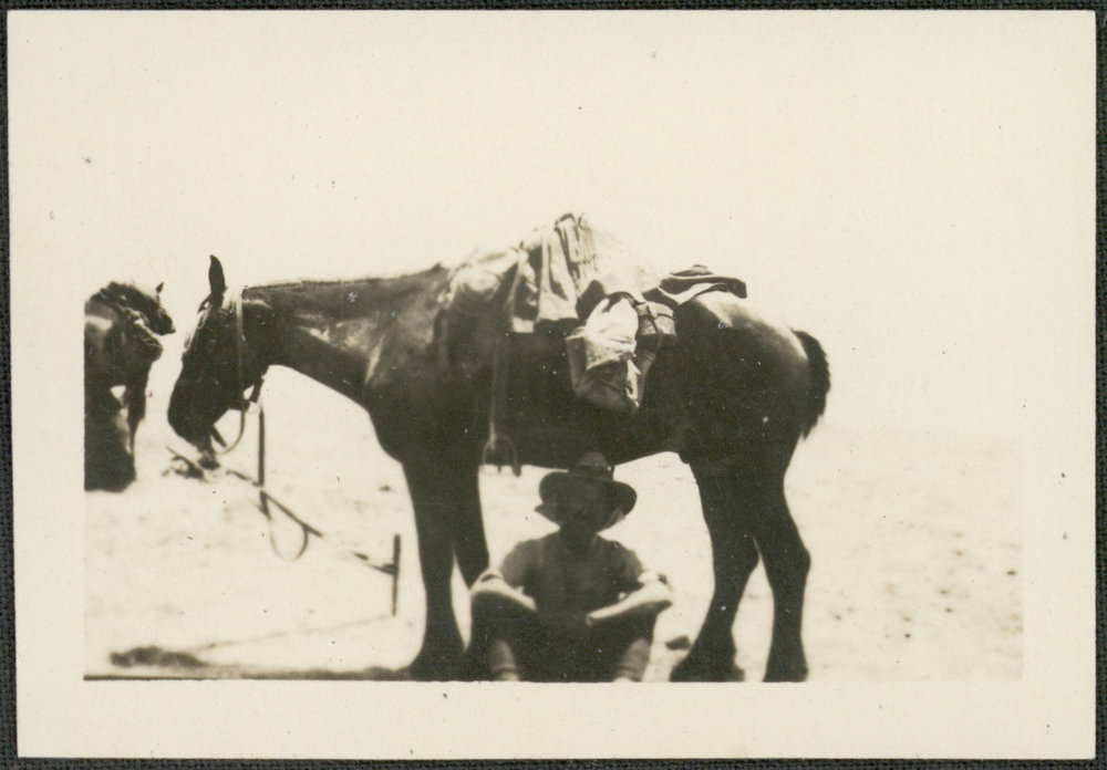 WWI Photograph Album - Egypt &amp; Gallipoli [loose photo]