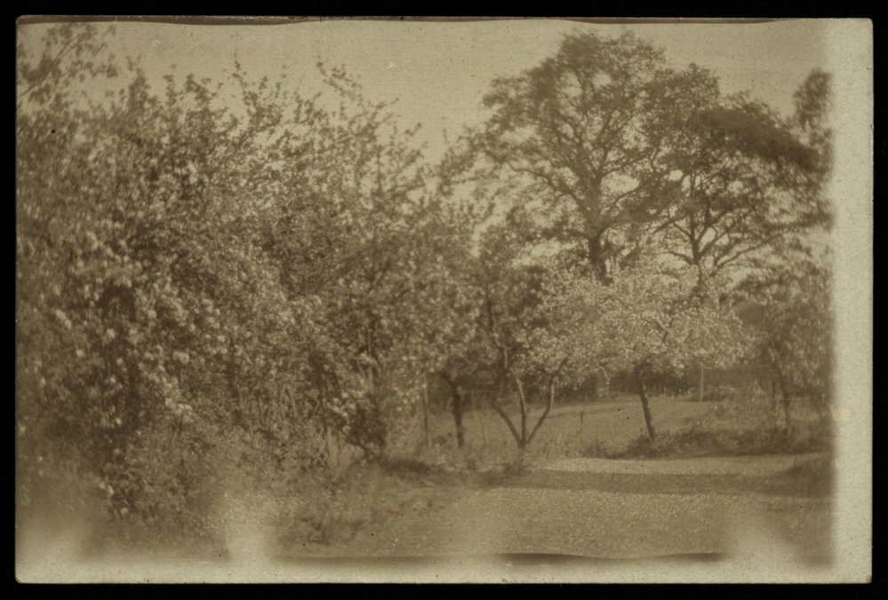 WWI Photograph Album - England [loose photo]