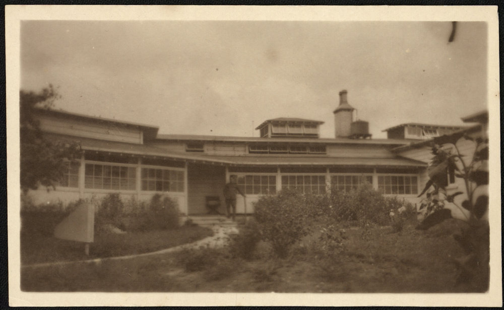 WWI Photograph Album - New Zealand Nurses &amp; Medical Staff [loose photo]