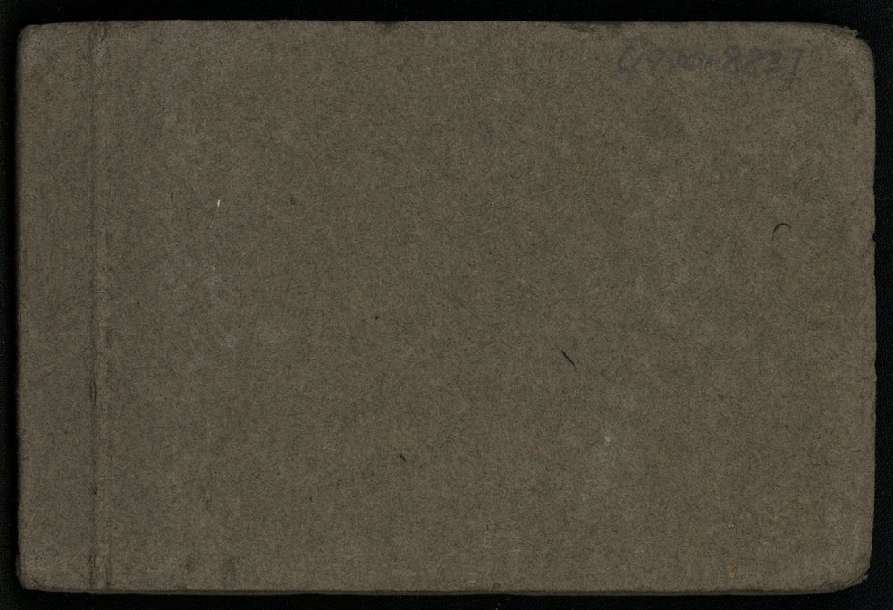 WWI Photograph Album - Tauherenikau Camp, New Zealand