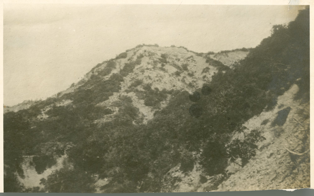 Photo from page 04 of album WWI Photograph Album - Egypt &amp; Gallipoli