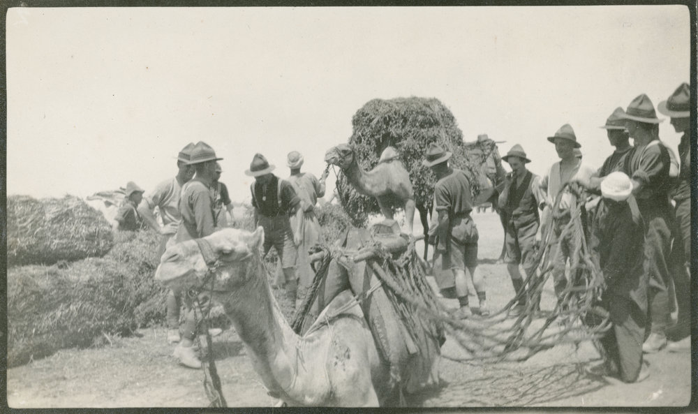 Photo from page 04 of album WWI Photograph Album - Egypt &amp; Gallipoli