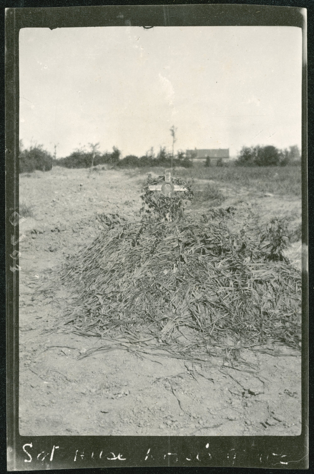 Photo from page 07 of album WWI Photograph Album - Egypt &amp; Gallipoli