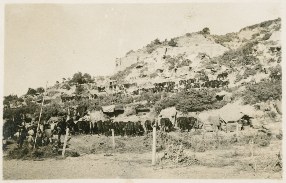 Photo from page 12 of album WWI Photograph Album - Egypt, Gallipoli &amp; Western Front.