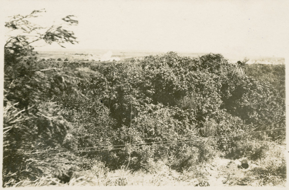 Photo from page 12 of album WWI Photograph Album - Egypt, Gallipoli &amp; Western Front.