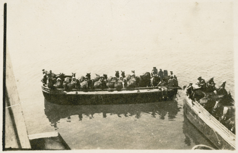 Photo from page 12 of album WWI Photograph Album - Egypt, Gallipoli &amp; Western Front.