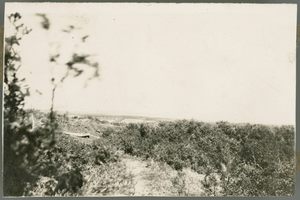 Photo from page 12 of album WWI Photograph Album - Egypt, Gallipoli &amp; Western Front.