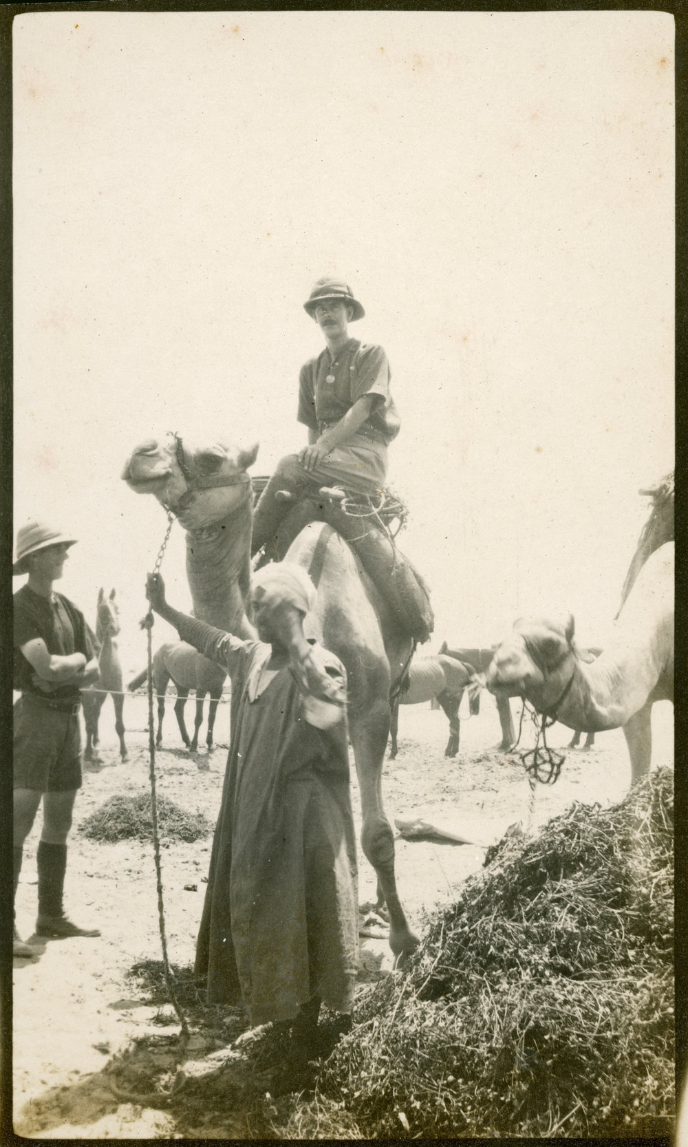 Photo from page 05 of album WWI Photograph Album - Egypt &amp; Gallipoli