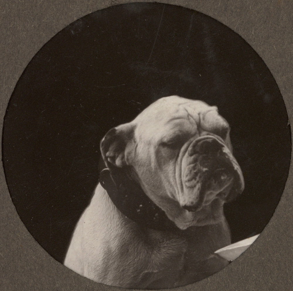 Photo from page 04 of album WWI Photograph Album