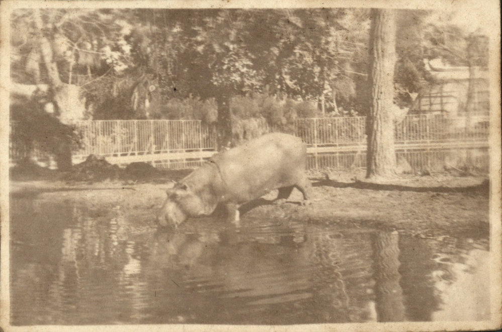 Photo from page 02 of album WWI Photograph Albums