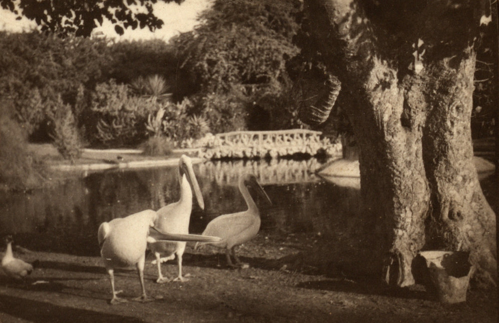 Photo from page 03 of album WWI Photograph Albums