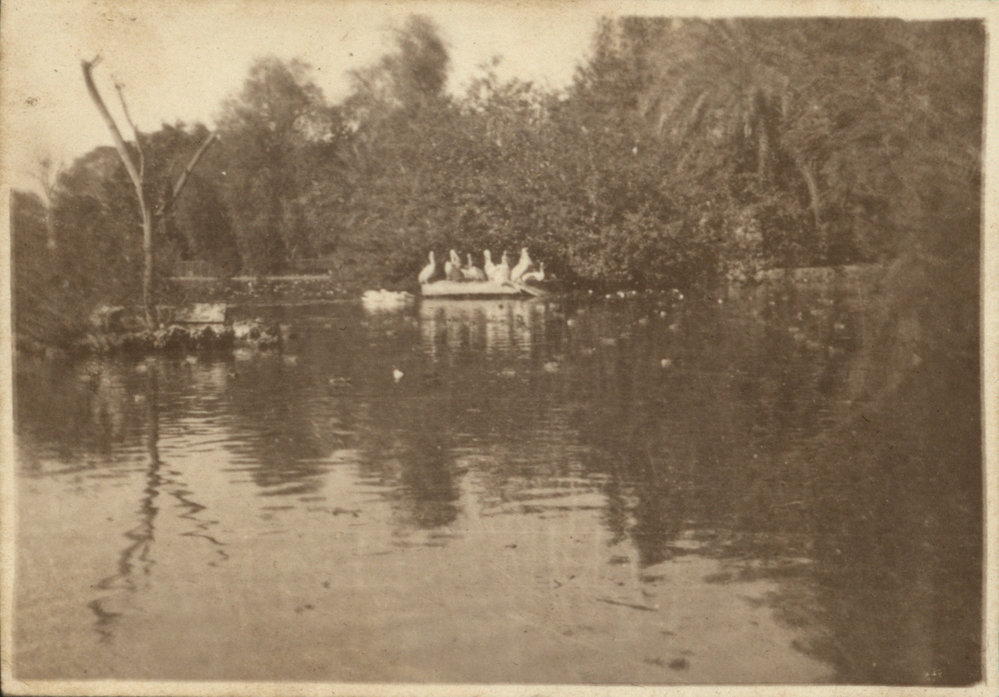 Photo from page 04 of album WWI Photograph Albums