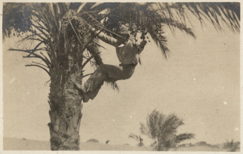 Photo from page 10 of album WWI Photograph Albums
