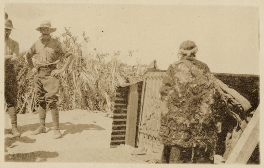 Photo from page 11 of album WWI Photograph Albums