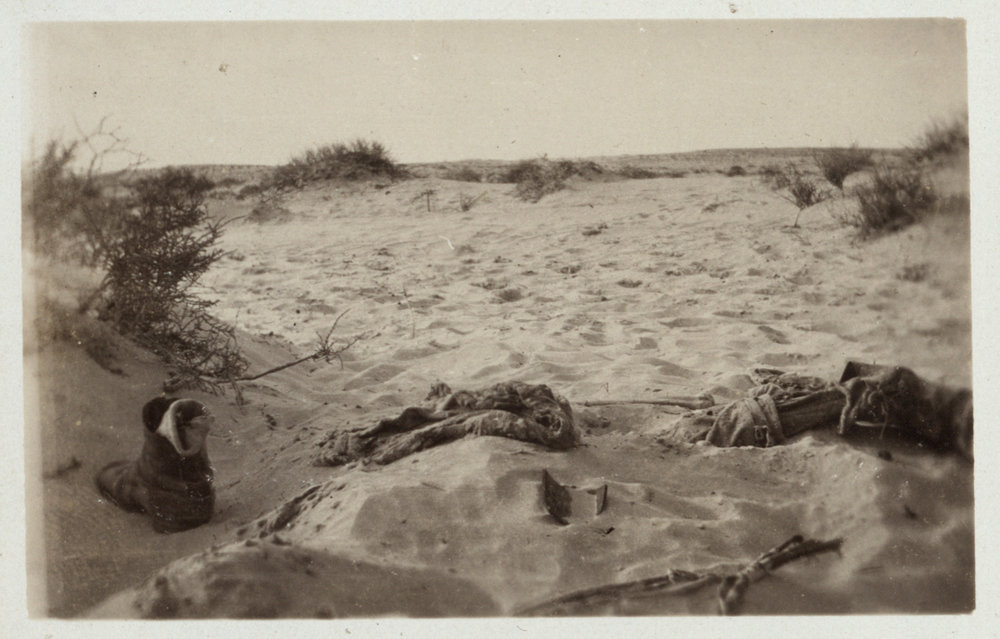 Photo from page 12 of album WWI Photograph Albums