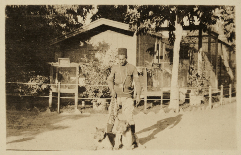 Photo from page 13 of album WWI Photograph Albums