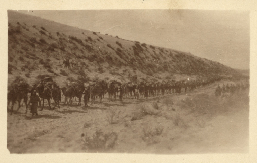 Photo from page 15 of album WWI Photograph Albums