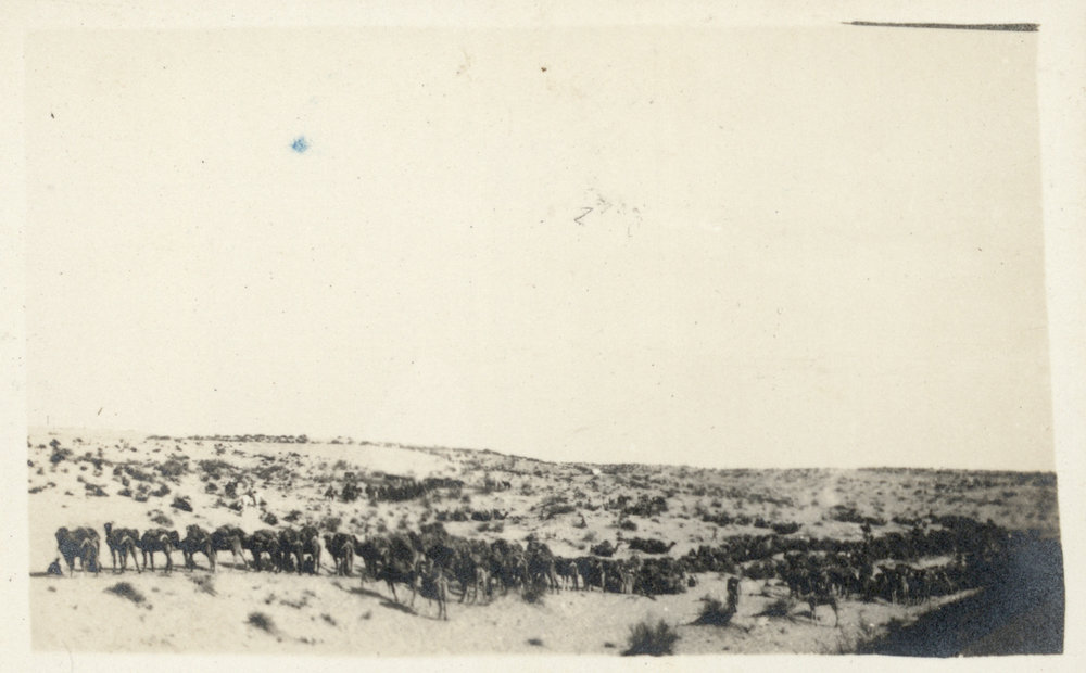 Photo from page 15 of album WWI Photograph Albums