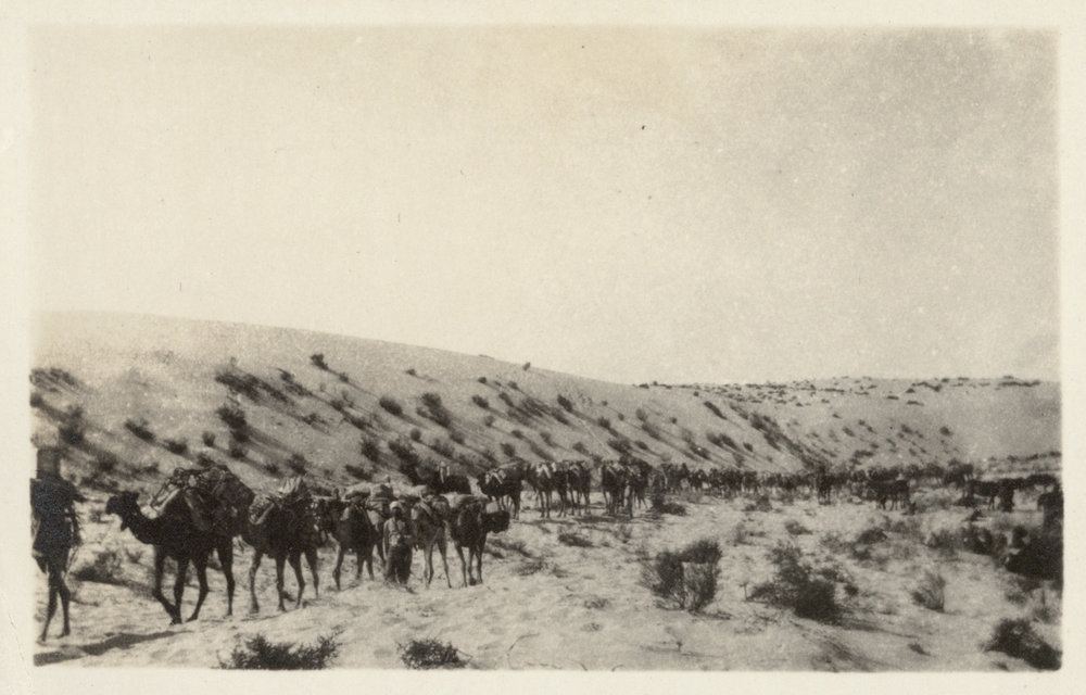 Photo from page 16 of album WWI Photograph Albums