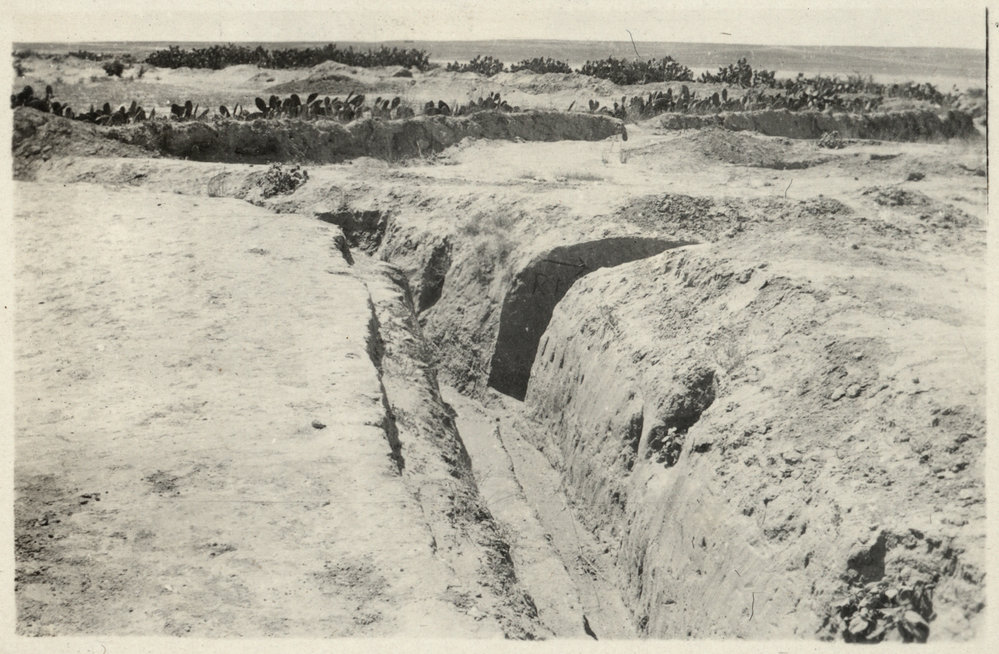 Photo from page 05 of album WWI Photograph Albums