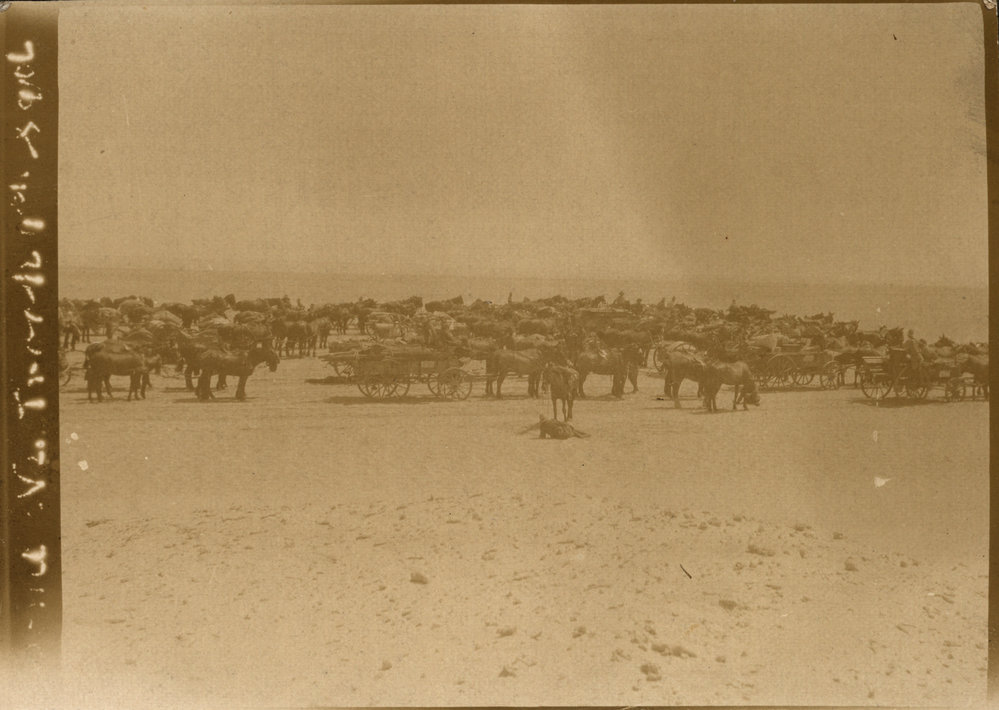 Photo from page 07 of album WWI Photograph Albums