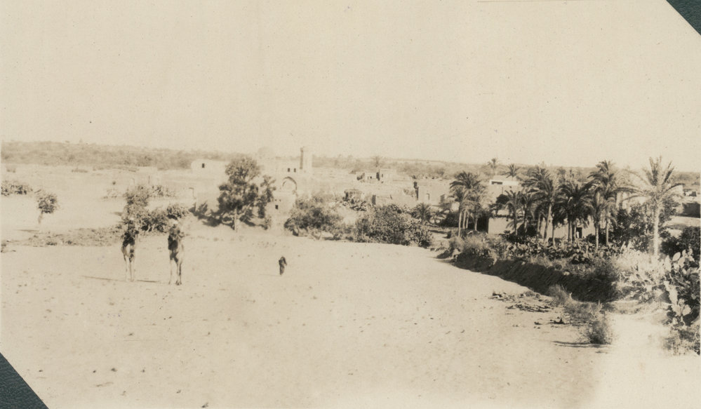 Photo from page 10 of album WWI Photograph Albums