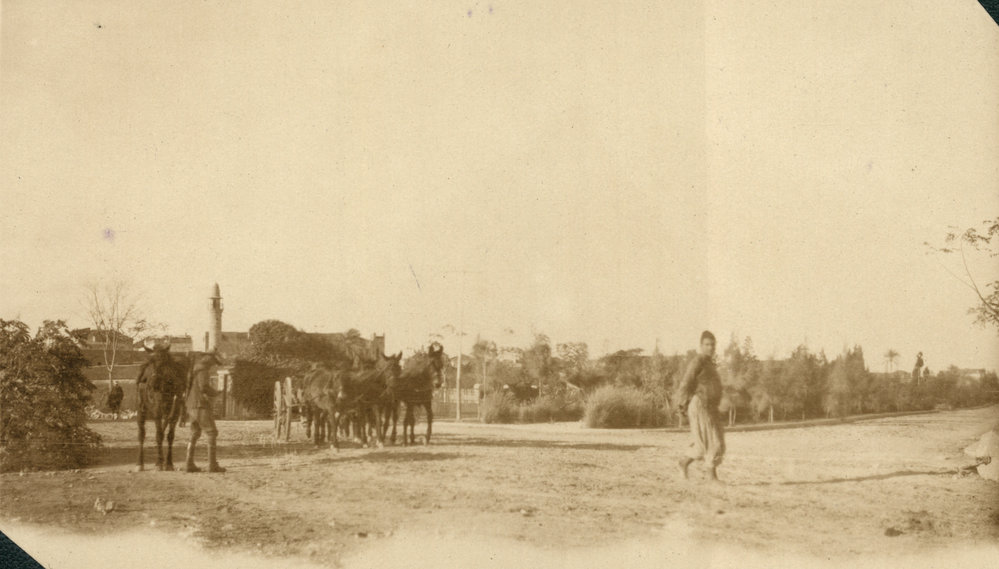 Photo from page 12 of album WWI Photograph Albums