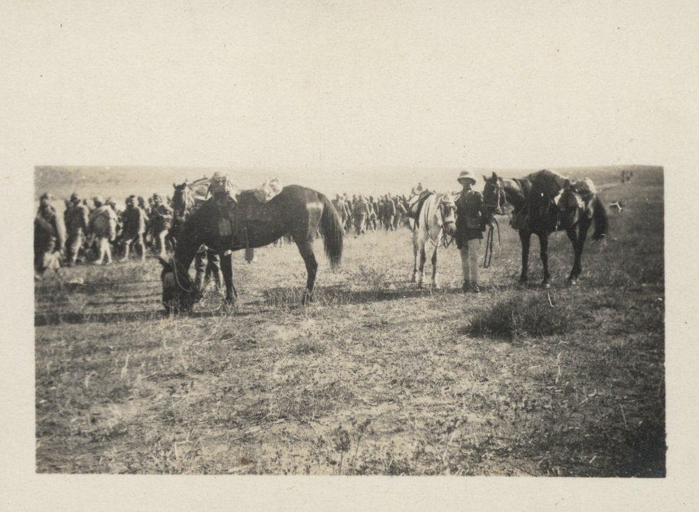 Photo from page 14 of album WWI Photograph Albums