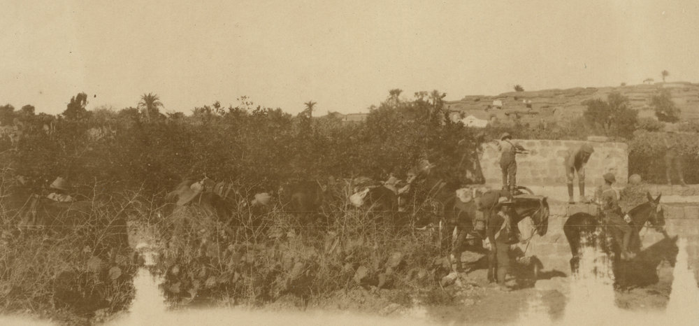 Photo from page 14 of album WWI Photograph Albums