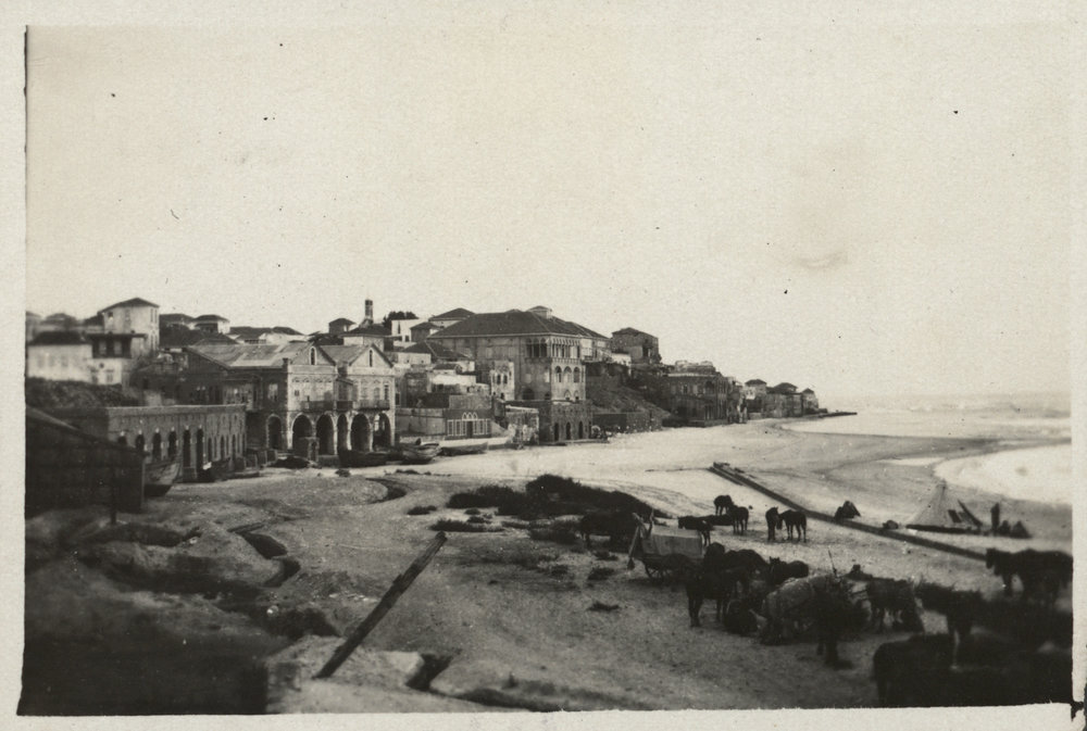 Photo from page 15 of album WWI Photograph Albums