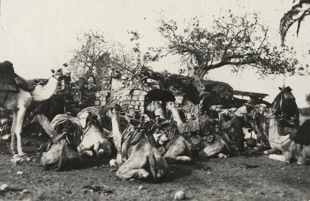 Photo from page 15 of album WWI Photograph Albums