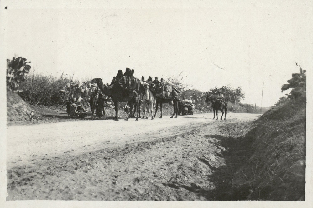 Photo from page 15 of album WWI Photograph Albums