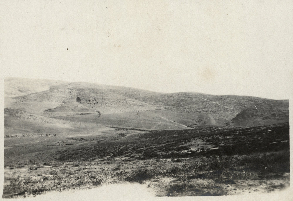 Photo from page 17 of album WWI Photograph Albums