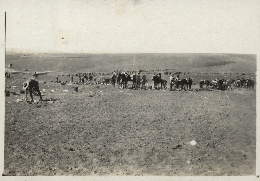 Photo from page 17 of album WWI Photograph Albums