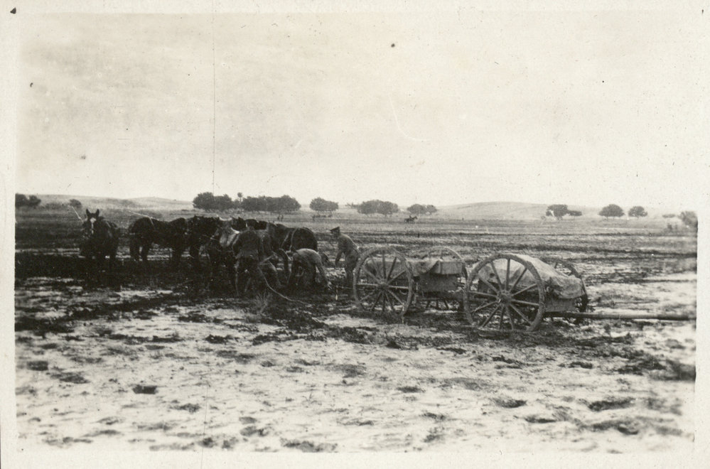 Photo from page 17 of album WWI Photograph Albums