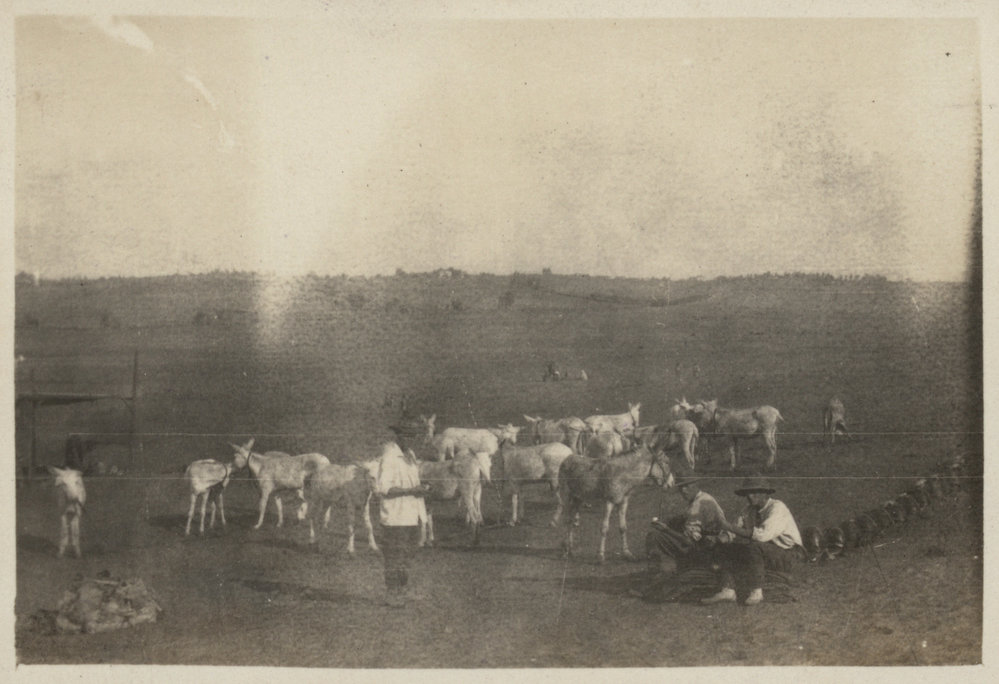 Photo from page 18 of album WWI Photograph Albums