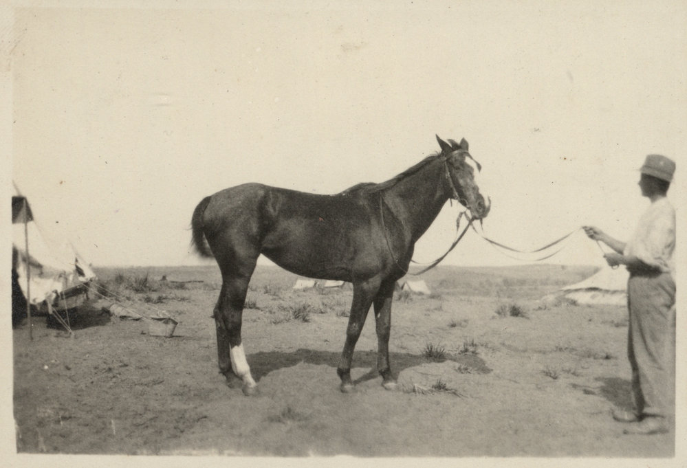 Photo from page 19 of album WWI Photograph Albums