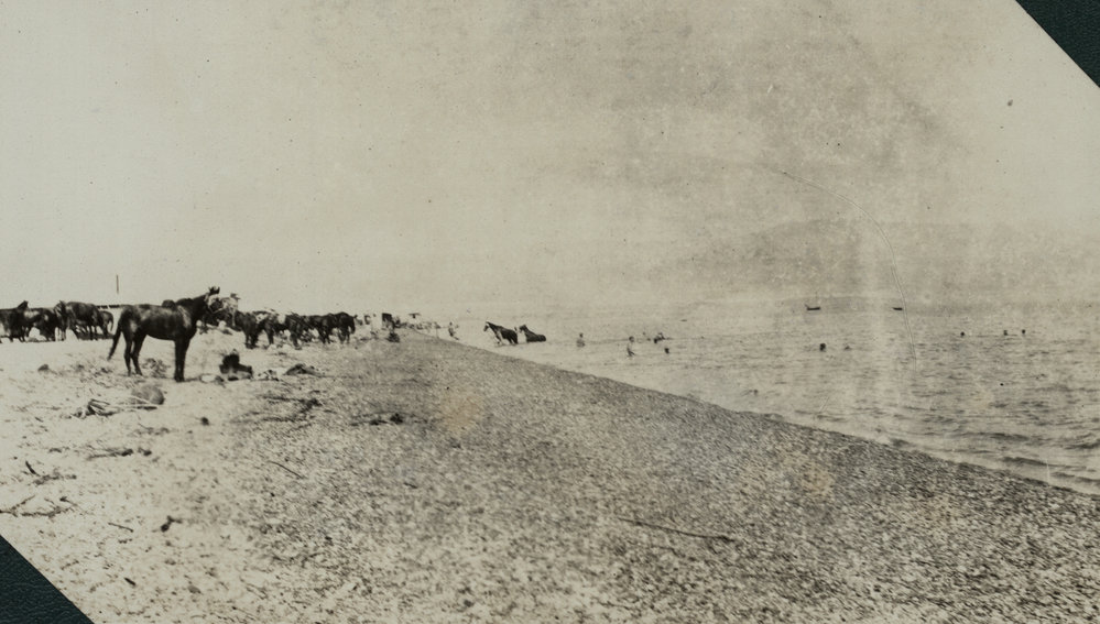 Photo from page 19 of album WWI Photograph Albums