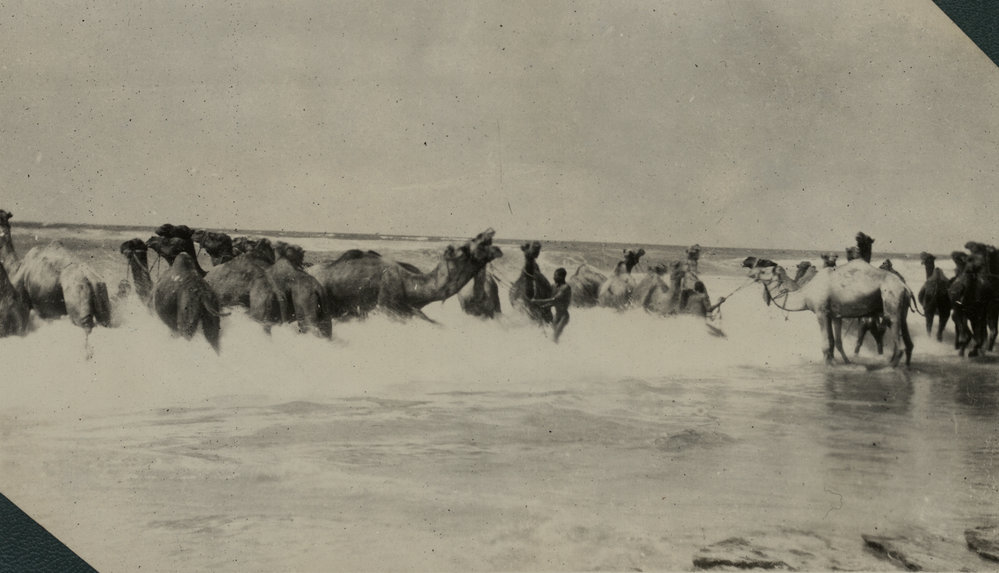 Photo from page 21 of album WWI Photograph Albums