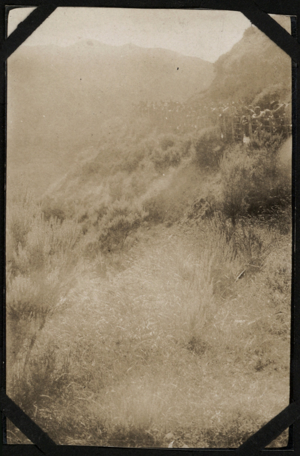 Photo from page 06 of album WWI Photograph Album of Raymond Troup