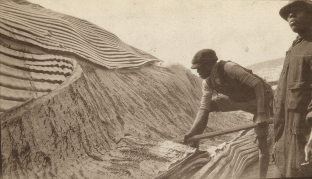 Photo from page 04 of album WWI Photograph Album of Alfred Peter Jensen