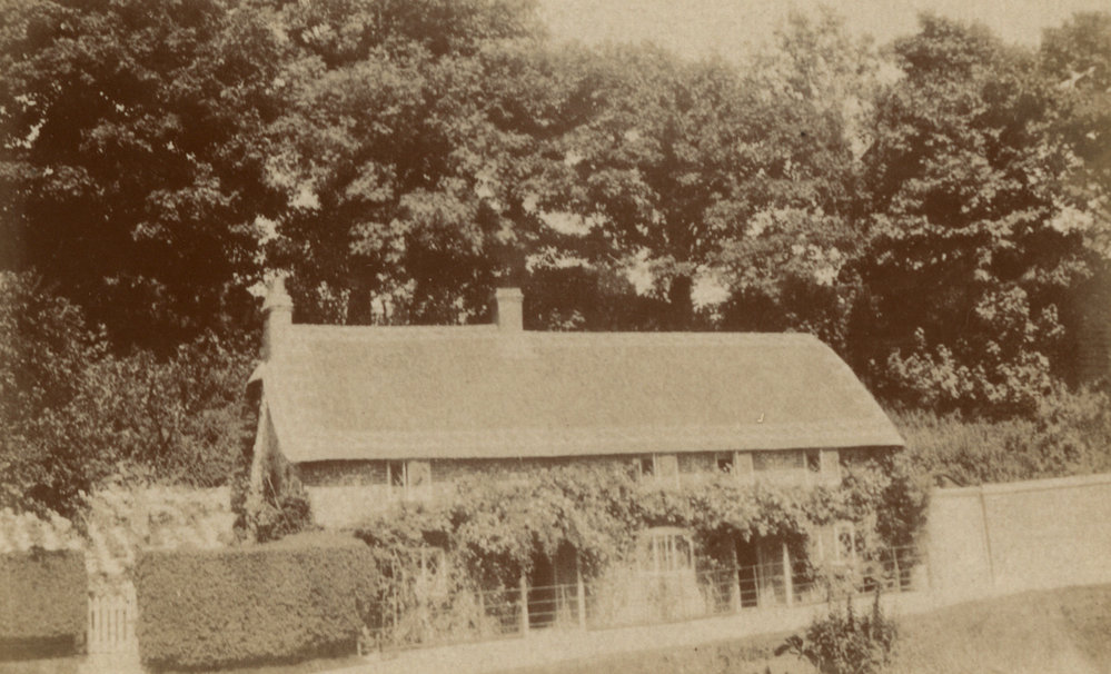 Photo from page 08 of album WWI Photograph Album of Alfred Peter Jensen